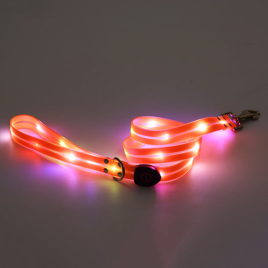 PawNova™ Rechargeable LED Tow Rope