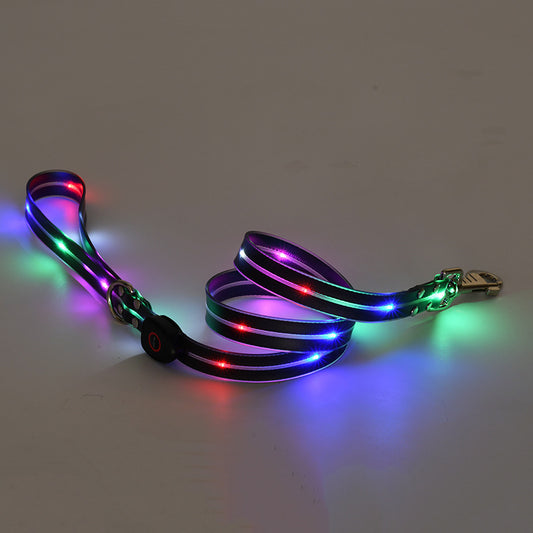 PawNova™ Rechargeable LED Tow Rope